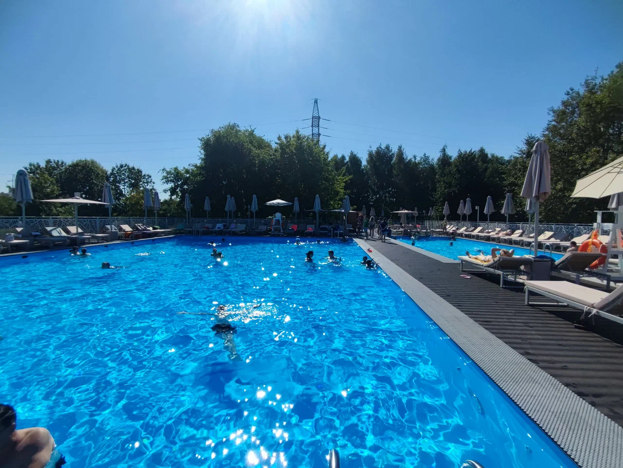 Бассейн в парке Митино